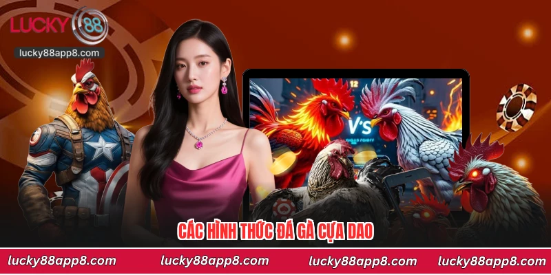 Các hình thức đá gà cựa dao