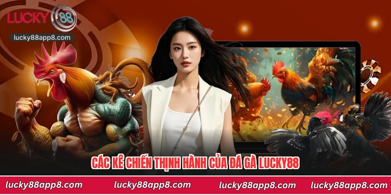 Các kê chiến thịnh hành của đá gà Lucky88