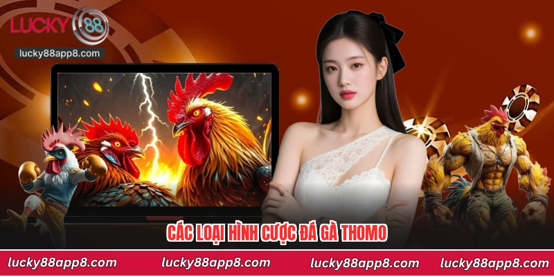 Các loại hình cược đá gà Thomo