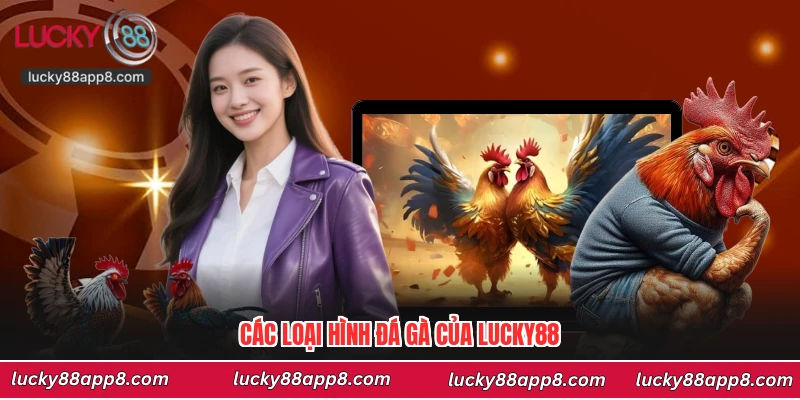 Các loại hình đá gà của Lucky88
