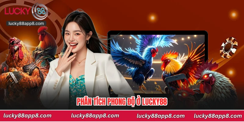 Phân tích phong độ ở Lucky88
